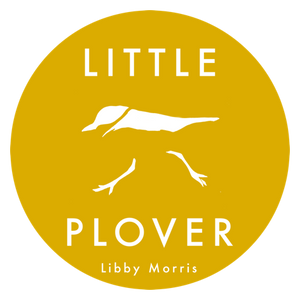 Little Plover