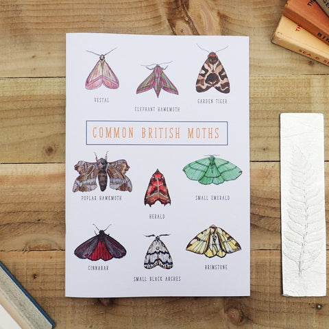 Common British Moths Illustrated Lined Notebook - Multiple Sizes