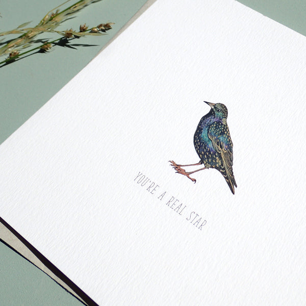 You're a Star Starling Blank Greetings Card