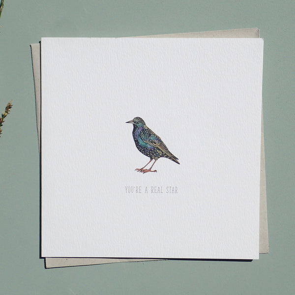You're a Star Starling Blank Greetings Card