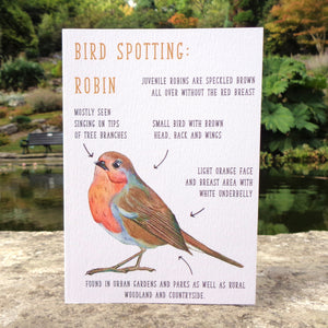 Birdwatching: Robin Blank Greetings Card
