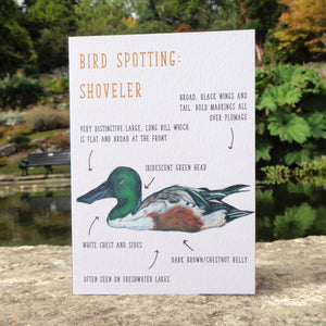 Birdwatching: Shoveler Blank Greetings Card