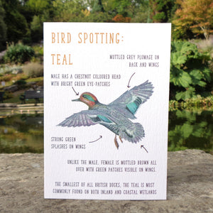 Birdwatching: Teal Blank Greetings Card