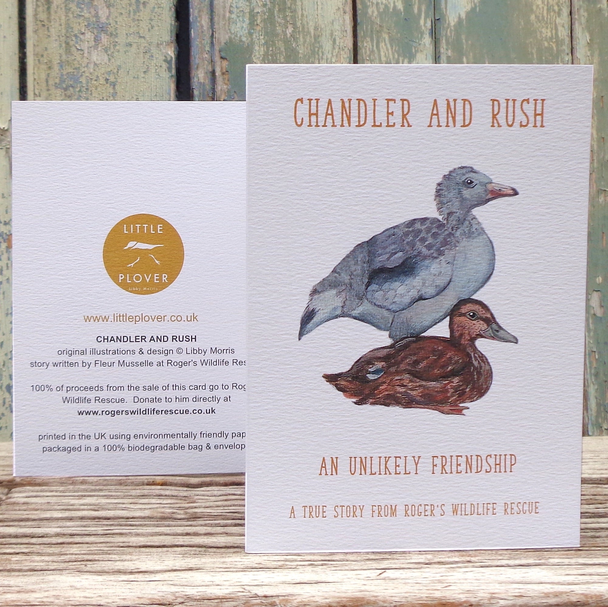 Chandler and Rush Roger's Wildlife Rescue Greetings Storycard