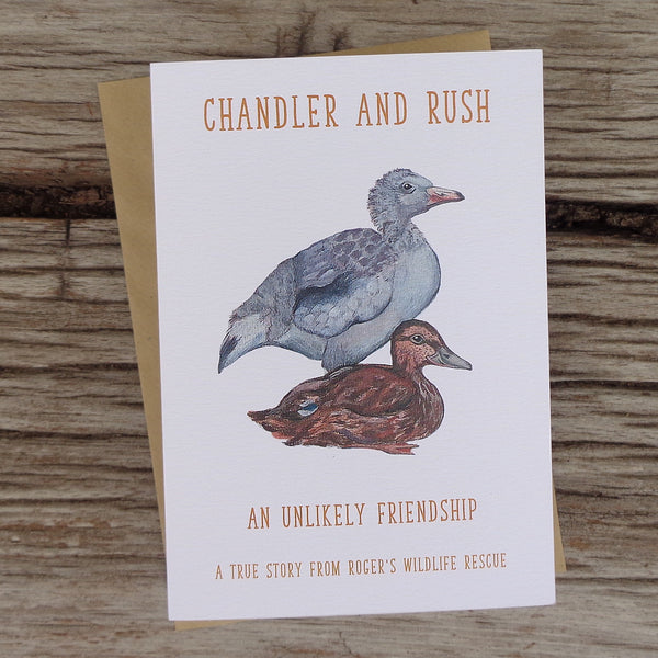 Chandler and Rush Roger's Wildlife Rescue Greetings Storycard