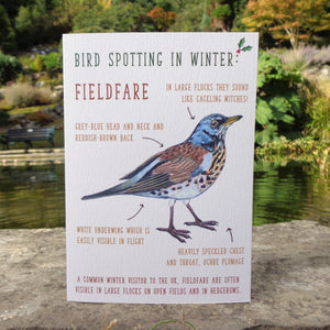 Birdwatching: Fieldfare Blank Christmas Greetings Card