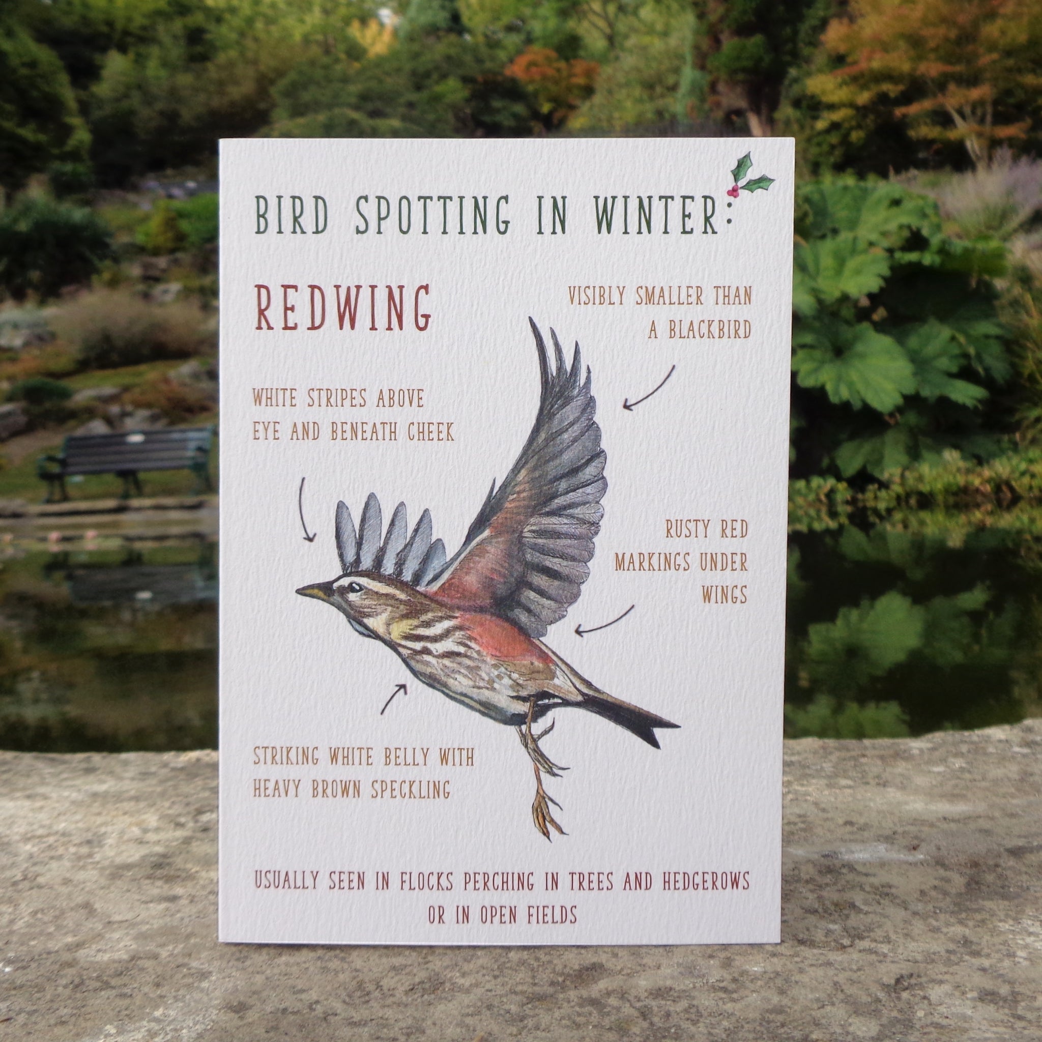Birdwatching: Redwing Blank Christmas Greetings Card