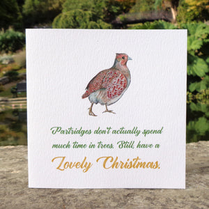 Partridge Not in a Pear Tree Christmas Blank Christmas Greetings Card