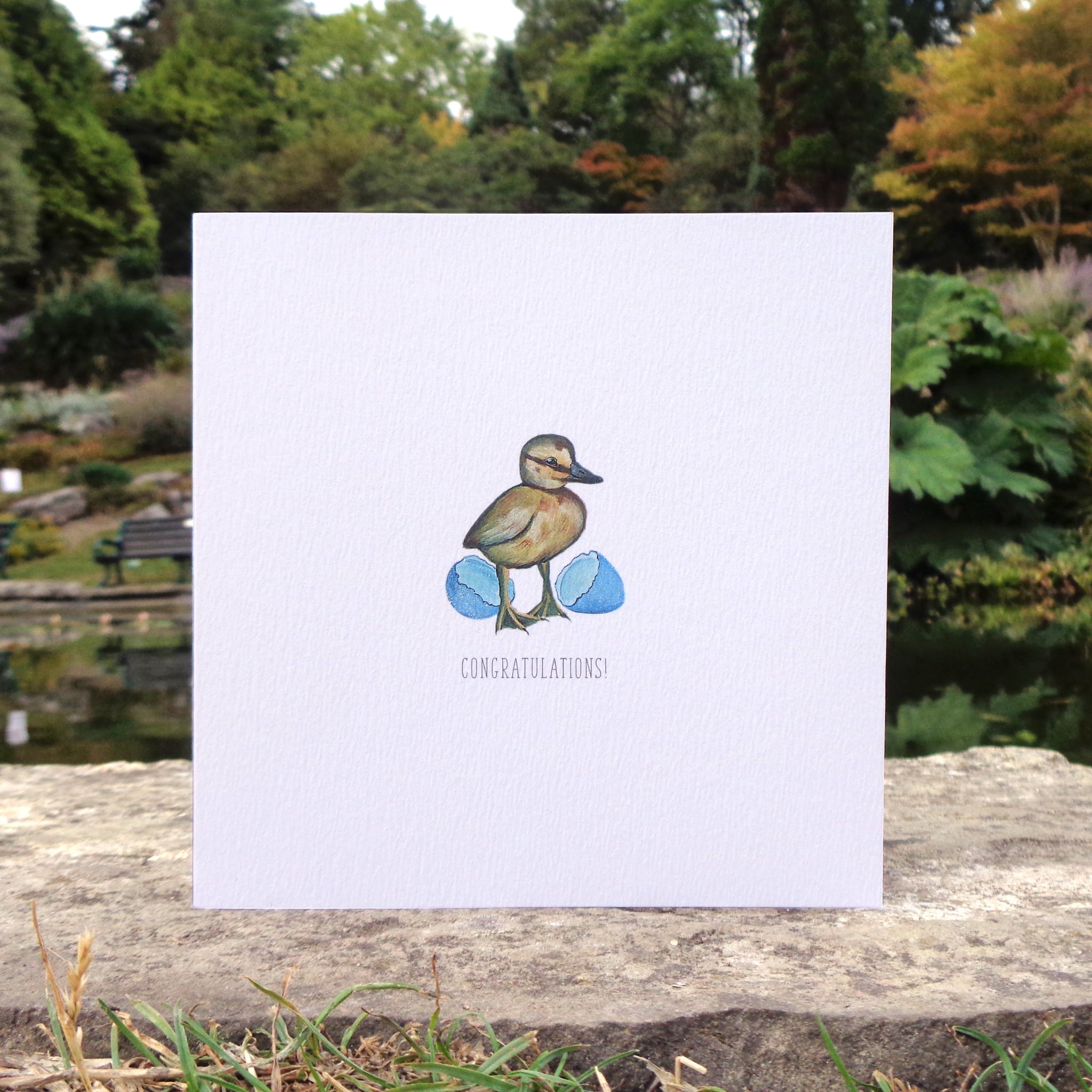Congratulations Hatchling Blank Greetings Card