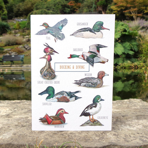 Ducking & Diving Blank Greetings Card