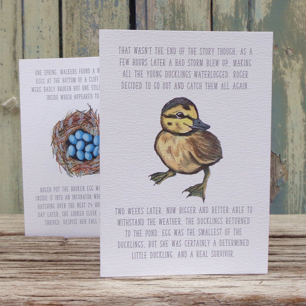 Egg the Duckling Roger's Wildlife Rescue Greetings Storycard