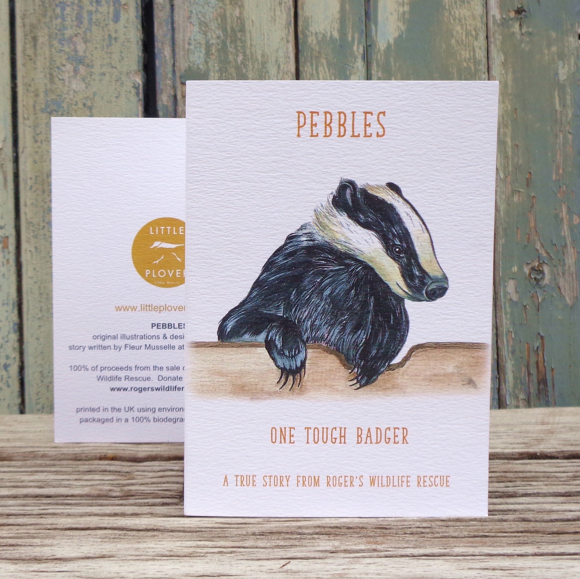 Pebbles the Badger Roger's Wildlife Rescue Greetings Storycard