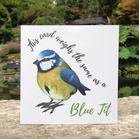 Bird Weight Blue Tit Blank Greetings Card