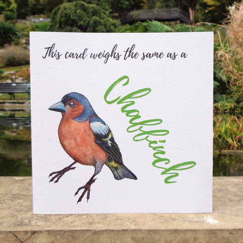 Bird Weight Chaffinch Blank Greetings Card
