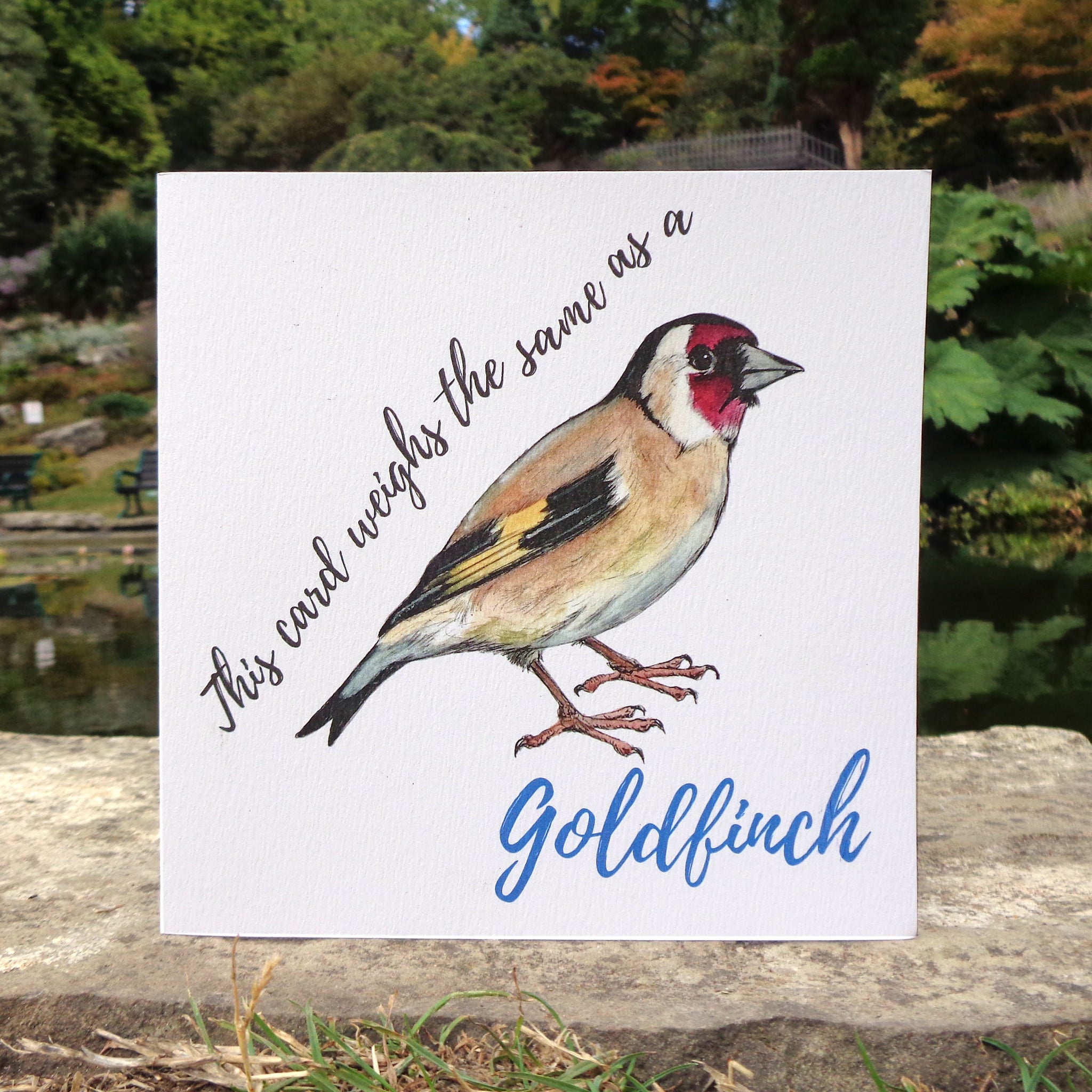 Bird Weight Goldfinch Blank Greetings Card