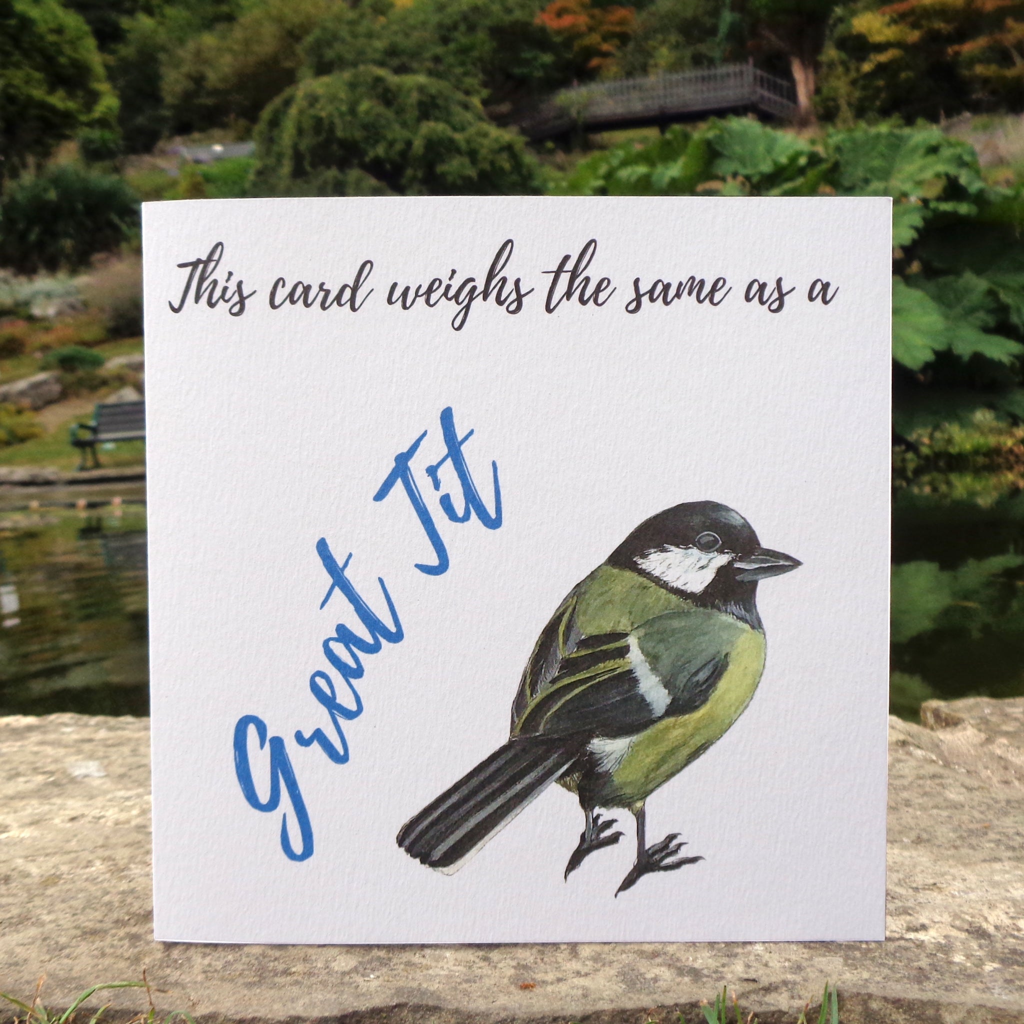 Bird Weight Great Tit Blank Greetings Card