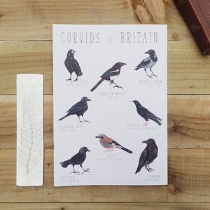 British Corvids A4 Illustrated Lined Notebook