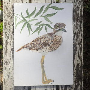 Spotted Thick-Knee Original Watercolour: Tits, Boobies & Loons