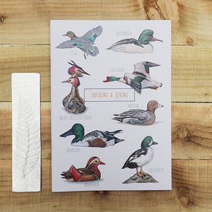 Ducking & Diving A4 Illustrated Lined Notebook
