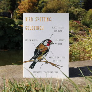 Birdwatching: Goldfinch Blank Greetings Card