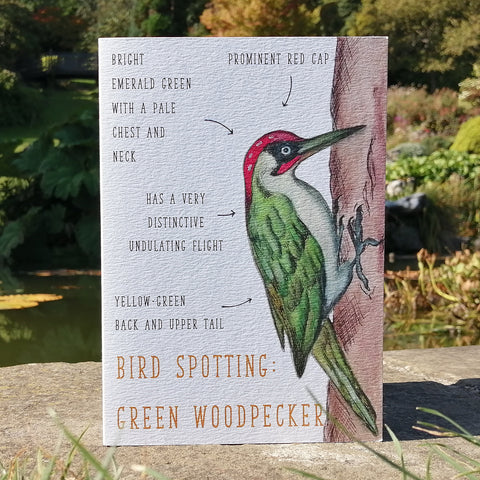 Birdwatching: Green Woodpecker Blank Greetings Card