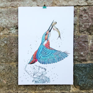 Kingfisher Fishing Illustration Fine Art Digital Print