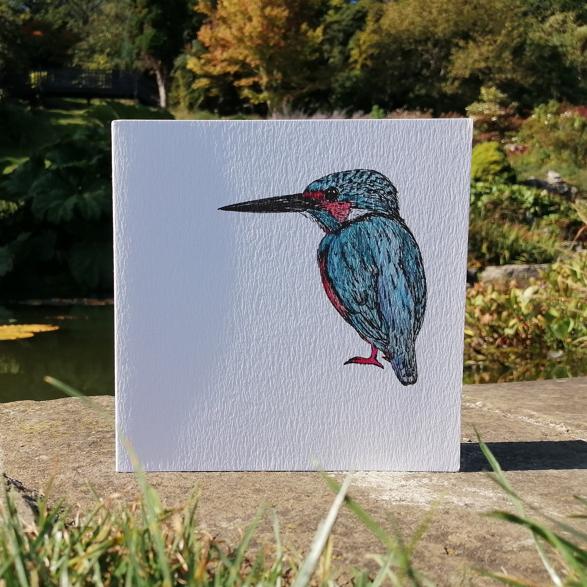 Illustration Kingfisher Blank Greetings Card