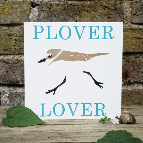 Plover Lover Blank Greetings Card