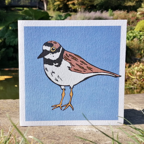 Lino Little Ringed Plover Blank Greetings Card