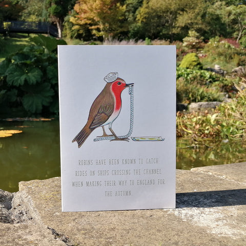 Robin Heroic Animals Blank Greetings Card