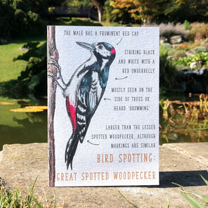Birdwatching: Great Spotted Woodpecker Blank Greetings Card